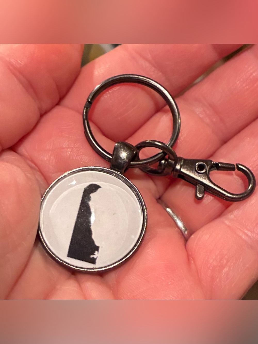 (2/$12, 4/$20)Gunmetal Delaware State Silhouette Keychain